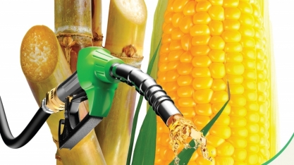 Livro detalha o papel crucial dos biocombustíveis na transição energética