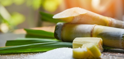 exportações indianas de açúcar recuam 72% em maio na comparação anual