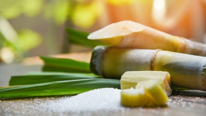 exportações indianas de açúcar recuam 72% em maio na comparação anual