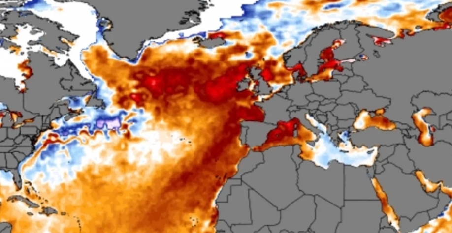 Mapa mostra a anomalia da temperatura da superfície do mar no domingo, 18 de junho. As temperaturas na costa do Reino Unido e da Irlanda estão vários graus mais altas do que o normalClimate Change Institute/University of Maine