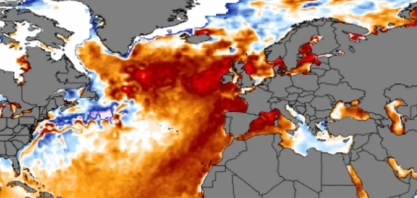 Atlântico Norte experimenta onda de calor marinha “totalmente sem precedentes”