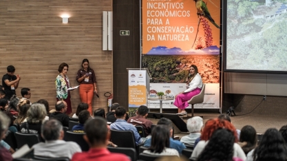 Ceará pode se tornar o primeiro estado do Nordeste a ter uma Lei de Pagamento por Serviços Ambientais