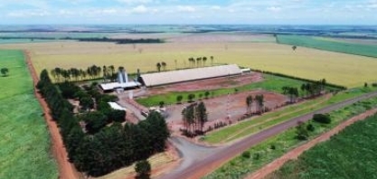 Usina Santo Ângelo é premiada pelo 5º ano consecutivo como melhor usina de produtividade agrícola do Brasil