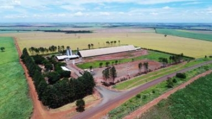 Usina Santo Ângelo é premiada pelo 5º ano consecutivo como melhor usina de produtividade agrícola do Brasil