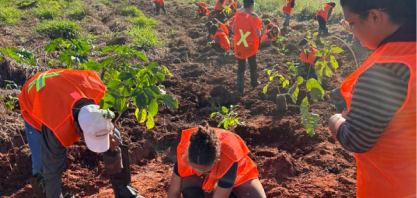 Cocal promove plantio de mudas com alunos de Narandiba