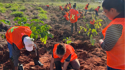 Cocal promove plantio de mudas com alunos de Narandiba