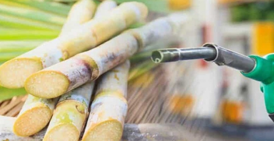 Etanol - Foto: Reprodução