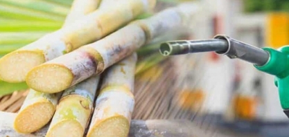 Usina de AL quebra três recordes de produção de etanol na mesma safra