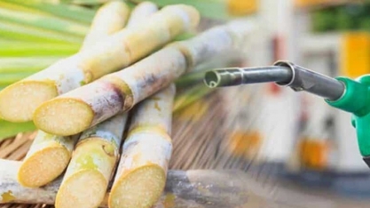 Usina de AL quebra três recordes de produção de etanol na mesma safra