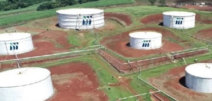 São Martinho (SMTO3): XP e banco diferem, com teses ‘amarga’ e ‘doce’, após lucro cair mais de 30%