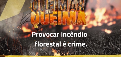 Você sabia que provocar incêndio florestal é crime e a pena prevista é de 3 a 6 anos de reclusão e multa?