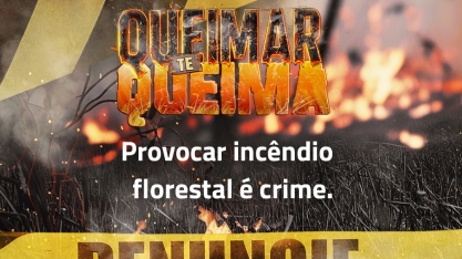 Você sabia que provocar incêndio florestal é crime e a pena prevista é de 3 a 6 anos de reclusão e multa?