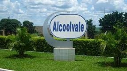 Alcoolvale: inspiração do dia! 