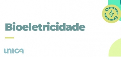 Seminário UNICA e COGEN: Cenários no Mercado de Energia Elétrica (05/07, das 10h às 12h) - presencial e online