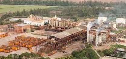 Usina Santa Terezinha comemora 59 anos