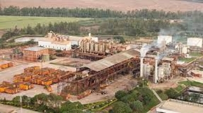 Usina Santa Terezinha comemora 59 anos