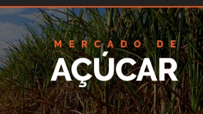 Açúcar: notícias fresquinhas e saborosas