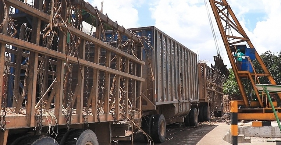 O levantamento destaca ainda que o ciclo, que perdurou por nove meses, foi realizado em 268 dias de moagem - Foto: Assessoria