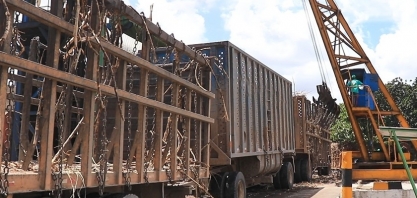 Safra 22/23: mais de 44,2% da cana moída foi de fornecedores