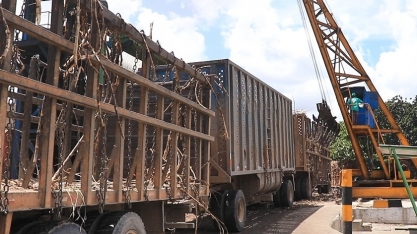 Safra 22/23: mais de 44,2% da cana moída foi de fornecedores