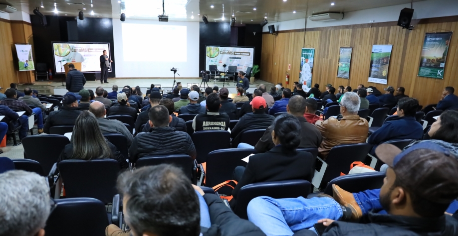 Foto: Hallinno Soares