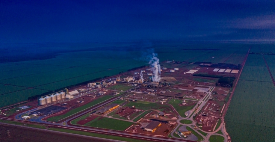 Crédito: Divulgação CerradinhoBio