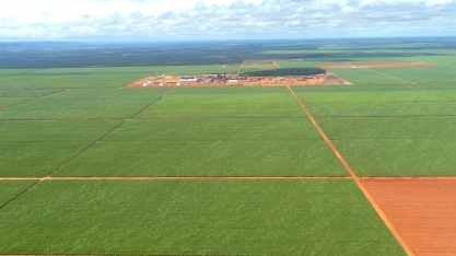 Estudo na Bevap mostra que área irrigada por gotejamento geraria 155 milhões de CBIOs contra 88 milhões do sequeiro