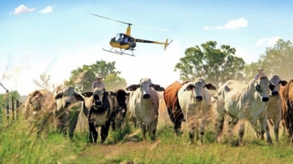 Para disseminar Cultura JBS na Austrália, empresa levará 1.500 brasileiros para país