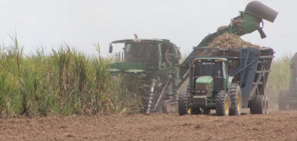 AL finaliza safra 22/23 com crescimento de 14,5%