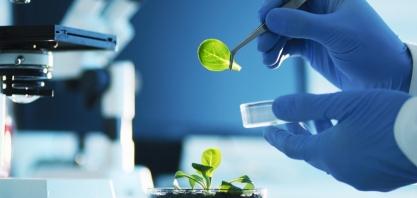 5/6: Dia Mundial do Meio Ambiente