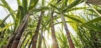 Asplana: ATR do mês de Junho