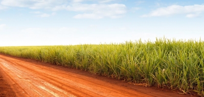 Melhoria da pluviosidade em 2023 não deve ser utilizada como pretexto para paralisar projetos em irrigação