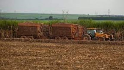 Valor Bruto da Produção Agropecuária em 2023 é estimado em R$ 1,179 trilhão