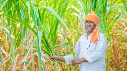 ADAMA divulga seu Relatório ESG 2022 e destaca progresso significativo na sustentabilidade de seu portfólio e operações