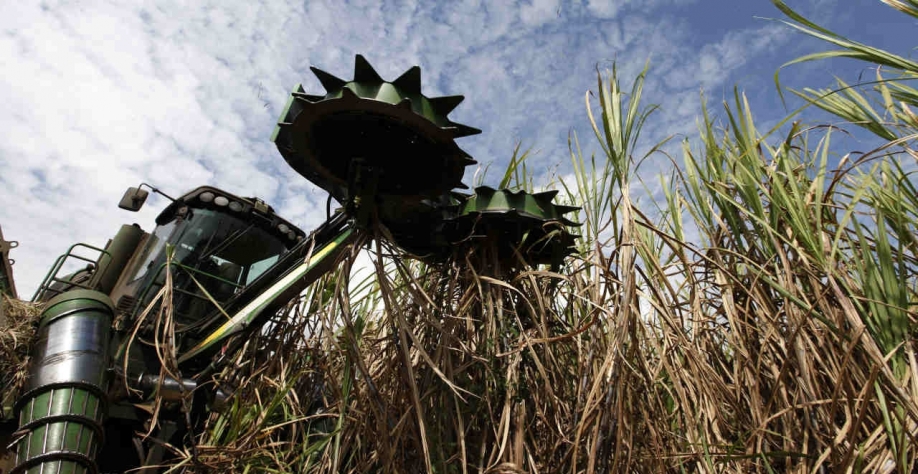 Gestora de origem escocesa eleva participação na Raízen (Imagem: REUTERS/Nacho Doce)
