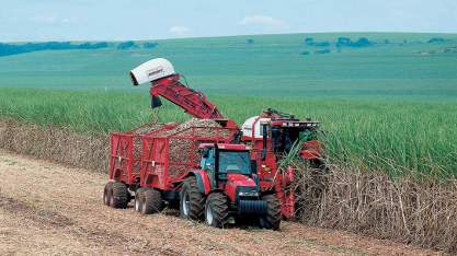 Safra de cana mineira acumula 16,1 milhões de toneladas