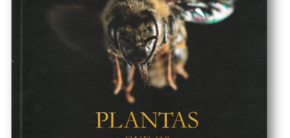 Plantas que os polinizadores gostam