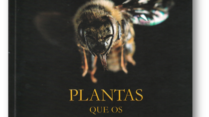 Plantas que os polinizadores gostam