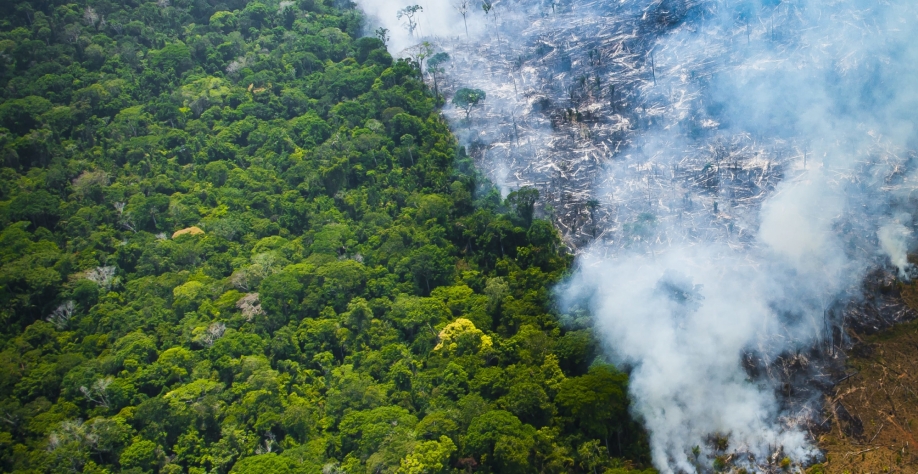 Sobrevoo flagra queimada na floresta Amazônica, no Pará, em 2019 (Foto: Araquém Alcântara/WWF Brasil)