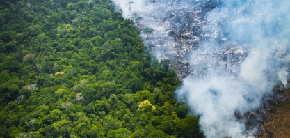 Brasil prepara entrada na corrida verde; mundo bate recorde de calor