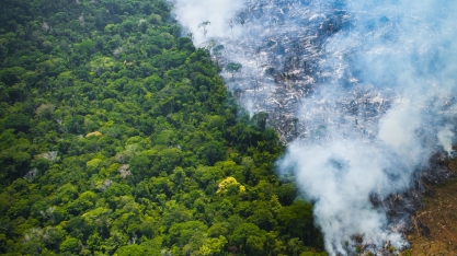 Brasil prepara entrada na corrida verde; mundo bate recorde de calor