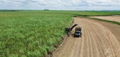 Safra Mineira 2023/24: Setor Sucroenergético bate recordes e alcança crescimento expressivo