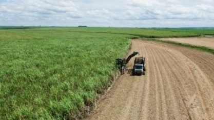 Safra Mineira 2023/24: Setor Sucroenergético bate recordes e alcança crescimento expressivo