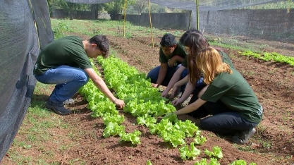 Usina Lins impulsiona o futuro: Programa “Jovem Agricultor” forma empreendedores sustentáveis na comunidade