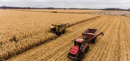 Safra 23/24 de soja e milho nos EUA; confira projeções e análises de produção e produtividade da hEDGEpoint Global Markets