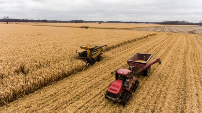 Safra 23/24 de soja e milho nos EUA; confira projeções e análises de produção e produtividade da hEDGEpoint Global Markets