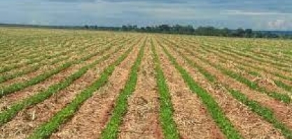 Agro Paulista + Verde é apresentado ao Banco Mundial