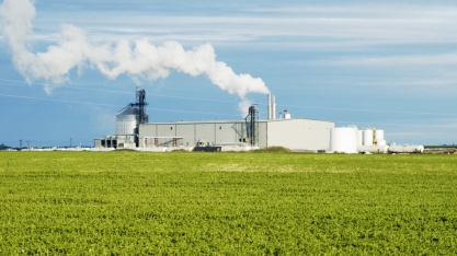 Programa de etanol da Índia limitará futuras exportações de açúcar, diz BMI