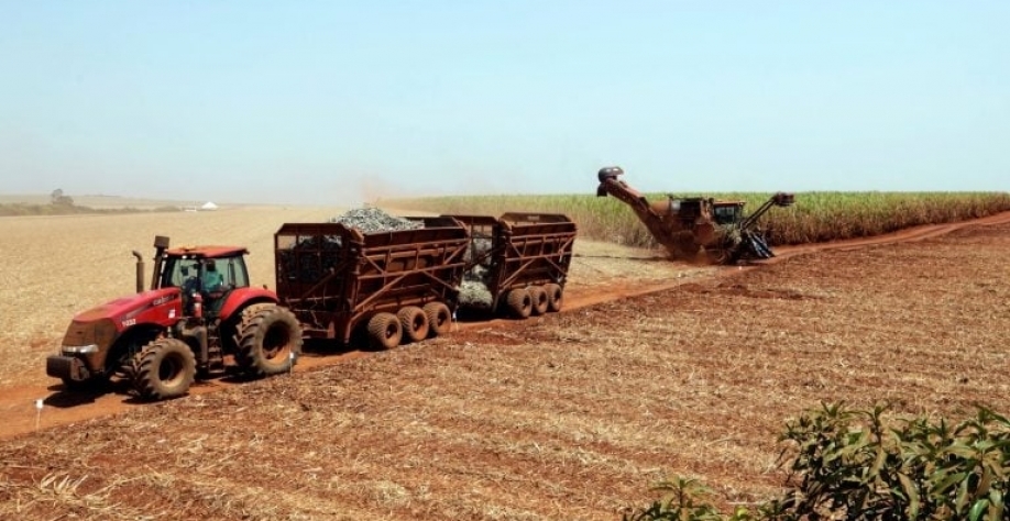 Colheita de cana-de-açúcar. Paulo Whitaker/Reuters