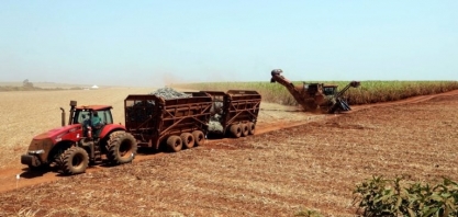 Cerradinho aprova investimento de R$ 289 milhões para fábrica de açúcar em GO